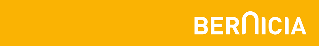 Bernicia Group e-Tendering System